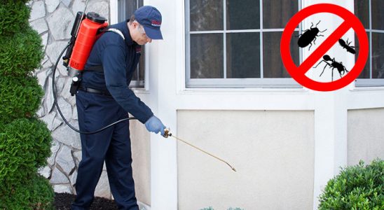 Çukurova Böcek ve Haşere İlaçlama böcek ilaçlama ve haşere kontrolü — ilaclama-tr.com